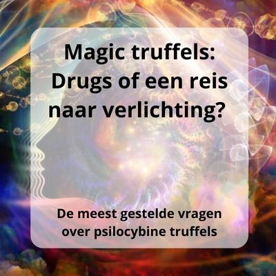 Wat zijn Magic Truffels: Drugs of een reis naar verlichting?