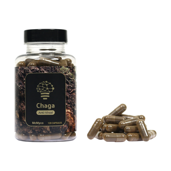 Chaga extract capsules - McMyco
