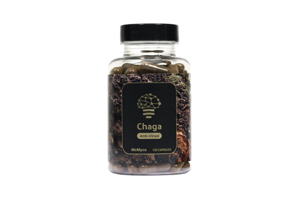 Chaga extract capsules - McMyco