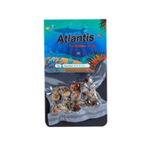 Magic truffels Atlantis