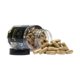 Turkey Tail extract capsules - McMyco
